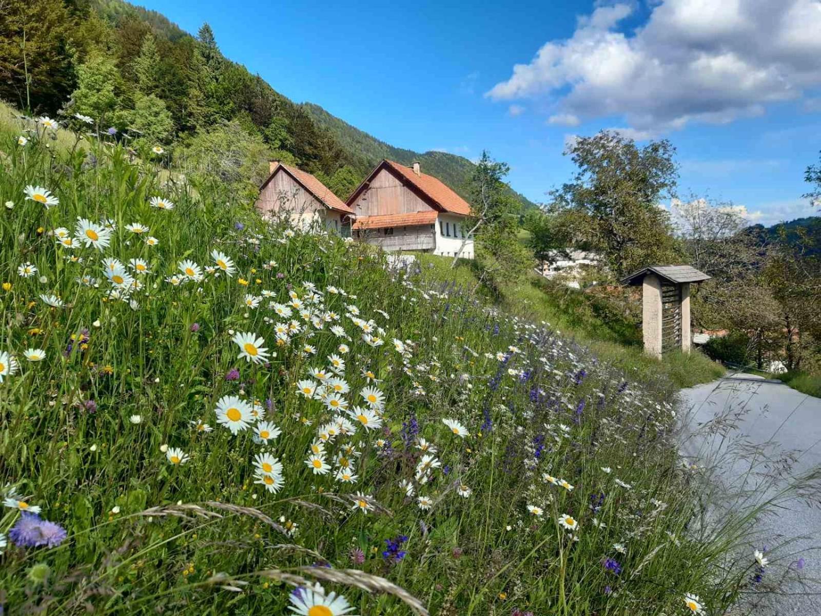 Miklavzeva Hisa With A Bread Oven Villa Zelezniki Kültér fotó