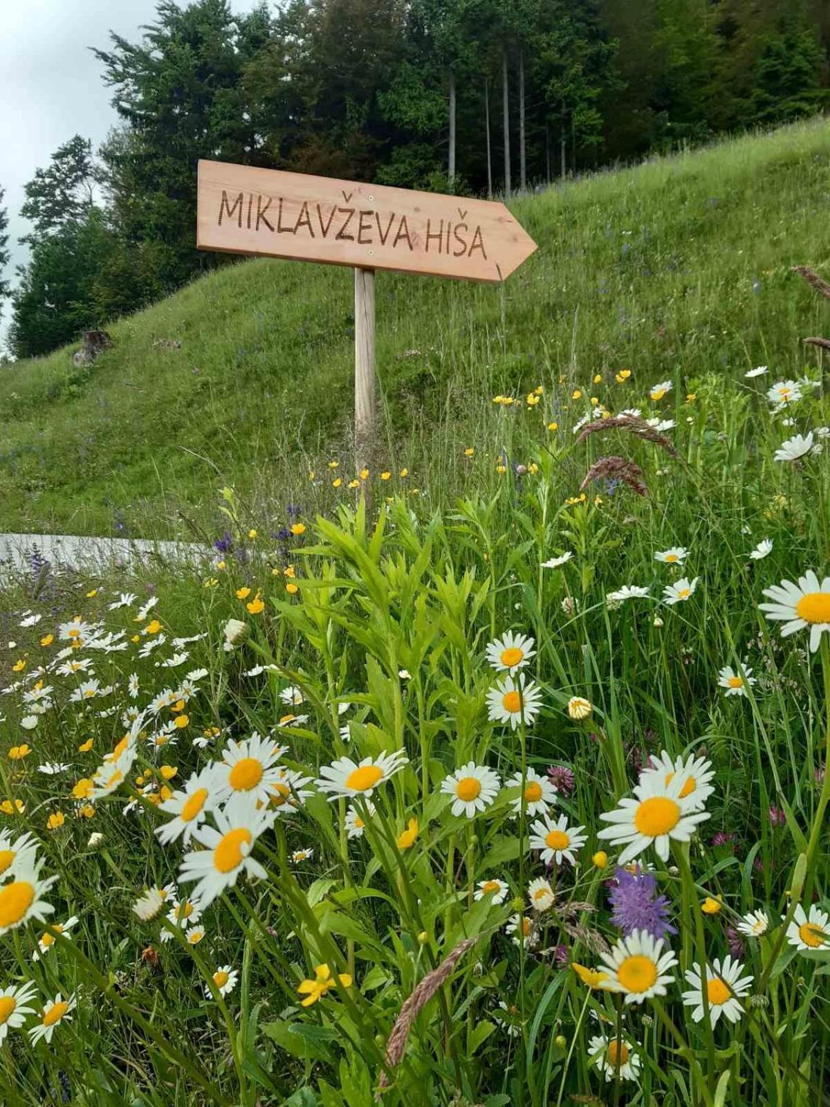 Miklavzeva Hisa With A Bread Oven Villa Zelezniki Kültér fotó